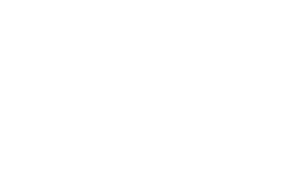 COPYFLY