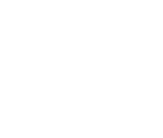 Michael Stiven
