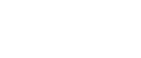 The Show